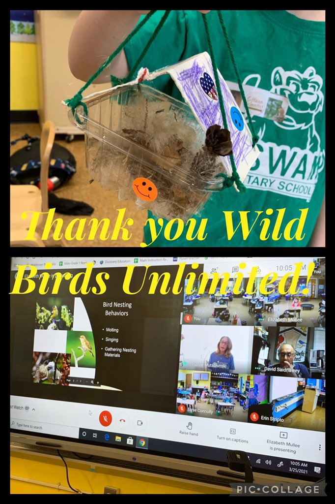 What a bird-tastic morning learning about nesting and creating our very own nesting pockets!! 🪶Thank you <a href="/WBU_Inc/">Wild Birds Unlimited, Inc.</a> for supporting our students! @NutSwampTigers <a href="/NutSwampSchool/">NutSwamp School PTA</a> <a href="/MTPSpride/">Middletown Township Public Schools</a> <a href="/MulleeMulleee/">Elizabeth Mullee</a> <a href="/StriptoE/">Erin Stripto</a> @Miss_Connolly