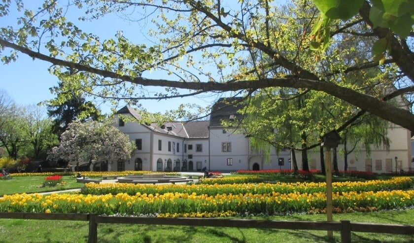 Column Jacob Kruis* - Mag ik even? - Op de proef gesteld dedriehoek.net/nieuws/algemee…