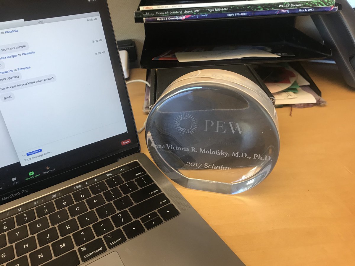 AnnaMolofskyLab's tweet photo. Definitely not how I imagined graduating from the ⁦@pewtrusts⁩ pew scholars, zooming alone in my office, but grateful for the community and the amazing science. Shoutout to classmates on Twitter ⁦@nilyapici⁩ @eazim ⁦@IbrahimCisse_⁩ https://t.co/RyfSOK0tMi