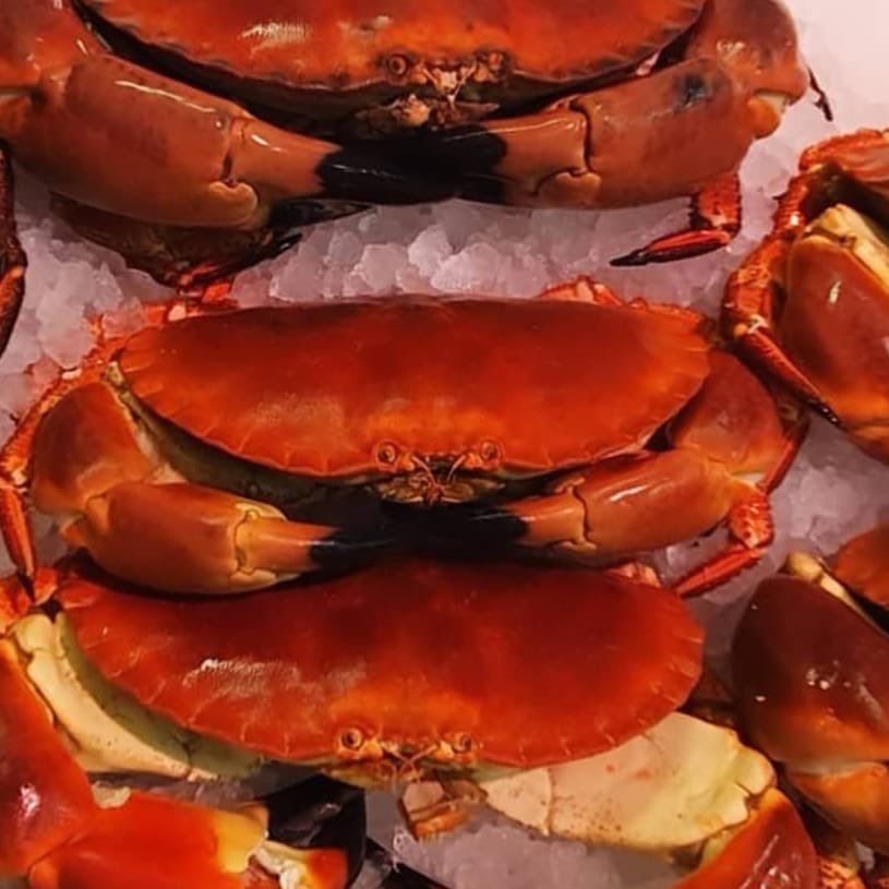 Cooked Cornish crabs