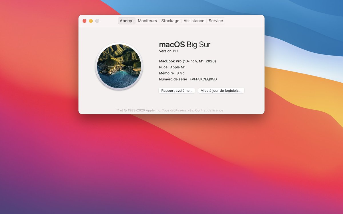 Antoine Calmels Nouveau Petit Bebe