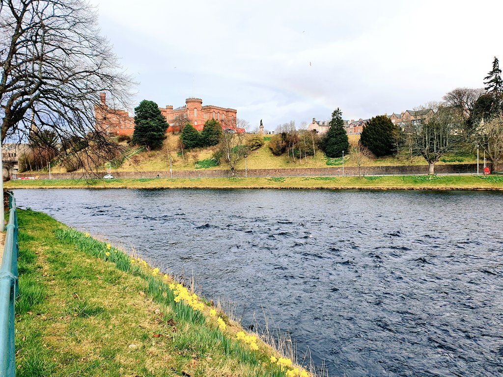 InverOutlanders's tweet photo. Walking along Ness Walk today #riverNess #daffodilday #Inverness  #Scotland #nesswalk https://t.co/uVJQPVoE0Z
