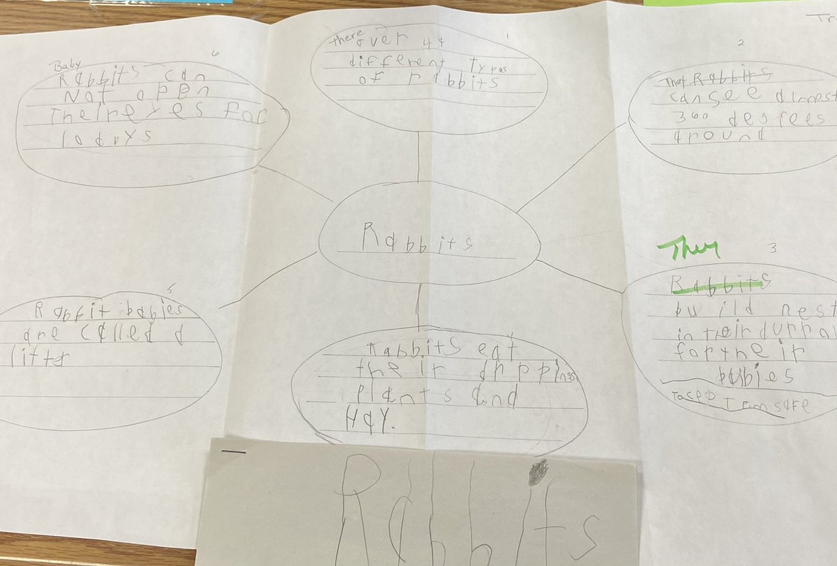 MBaiseyFCPS's tweet photo. 2nd graders @ThurmontPrimary are learning how to identify, organize and write facts to teach about a topic. I learned a lot about rabbits! #EngageStudents #CourageofaCougar https://t.co/5j93DEX5TS