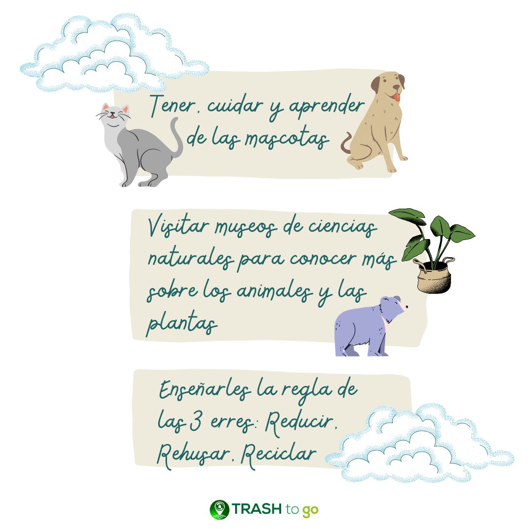 TrashToGoApp's tweet image. Consejos para enseñar a tus hijos a cuidar el medioambiente👨‍👩‍👧‍👦🌿
#TrashToGoApp #Appdereciclaje #Reciclaje #MedioAmbiente #PorUnMundoMejor #Conciénciate #SalvemoselPlaneta #Tips #Consejos #TipsParaCuidarelmedioambiente #ConsejosParaCuidarElMedioambiente #niñosecológicos