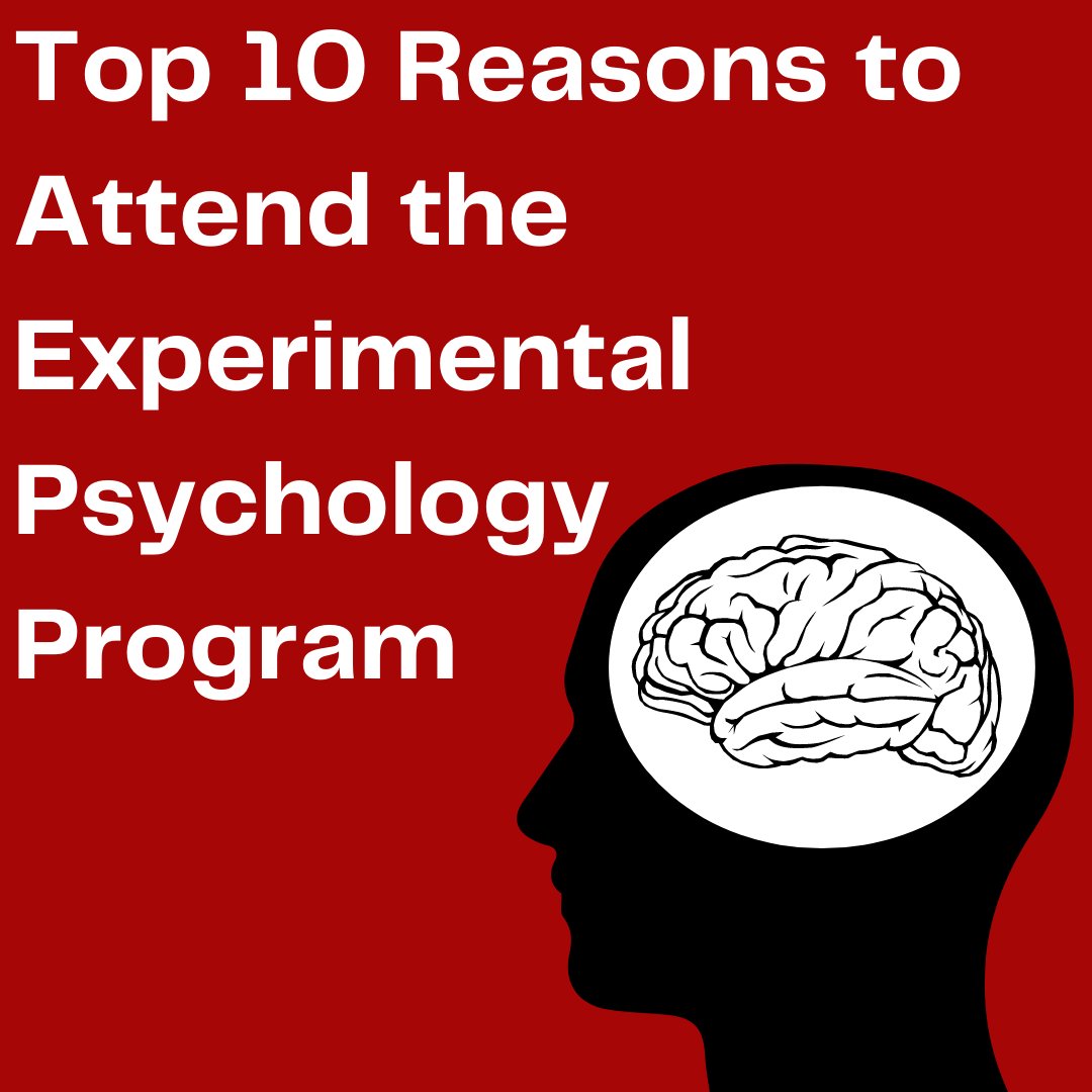 radfordgradpsyc's tweet photo. There are countless reasons to attend the Experimental Psychology Program at Radford. Here’s the top 10! https://t.co/VXUx6vTuyV