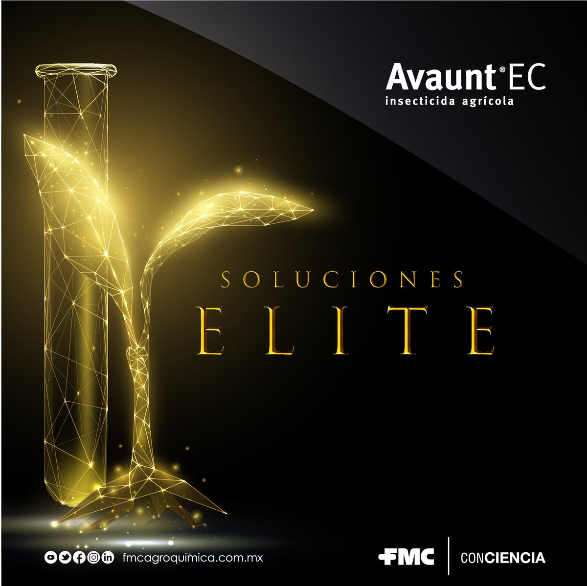 La #SoluciónElite que paraliza tu problema y controla larvas de lepidópteros es Avaunt😉, el insecticida que te da una mejor distribución y adherencia a las superficies de las plantas.😄👍🌱