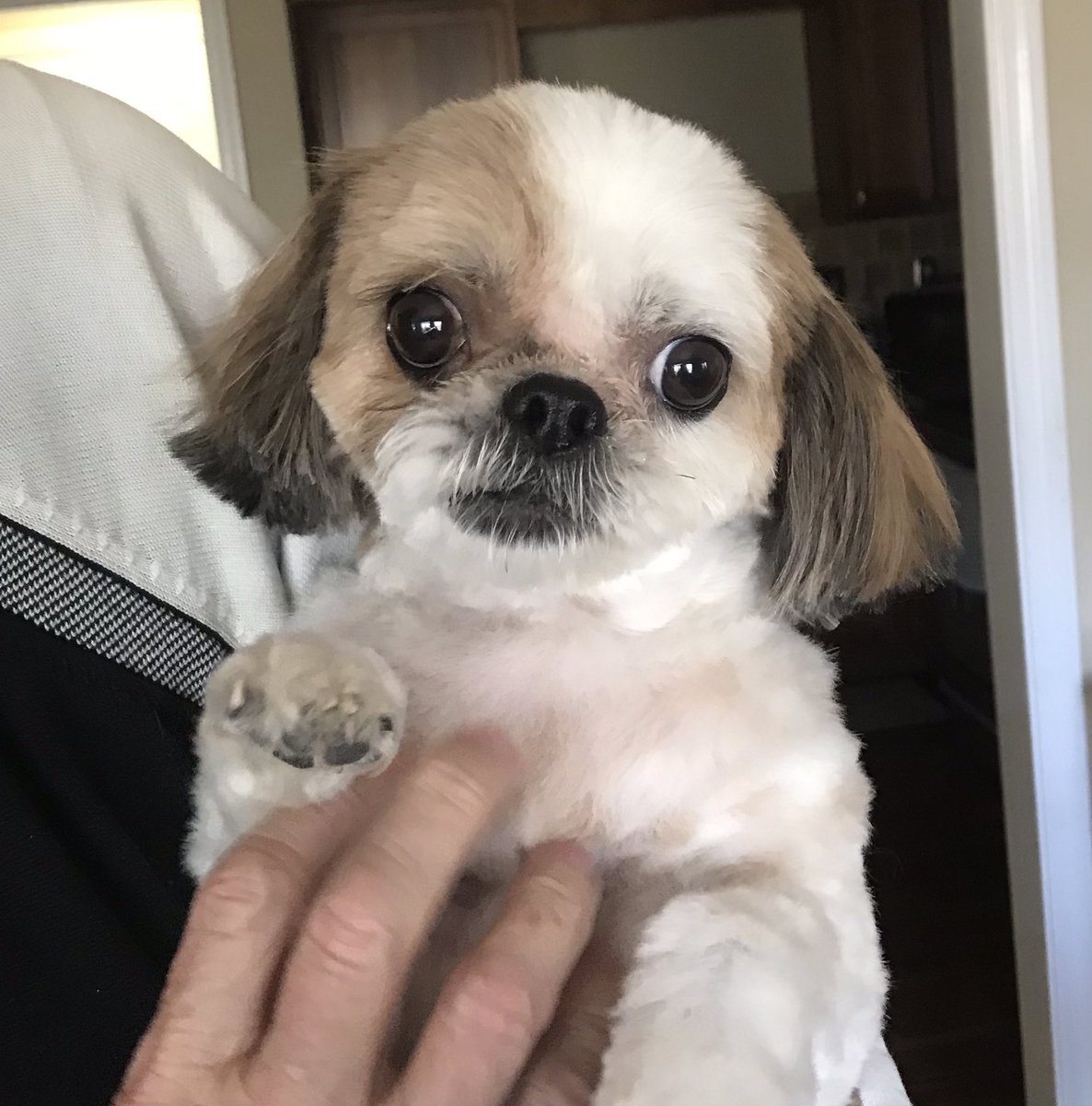 Irene May-Hillmann tweet media