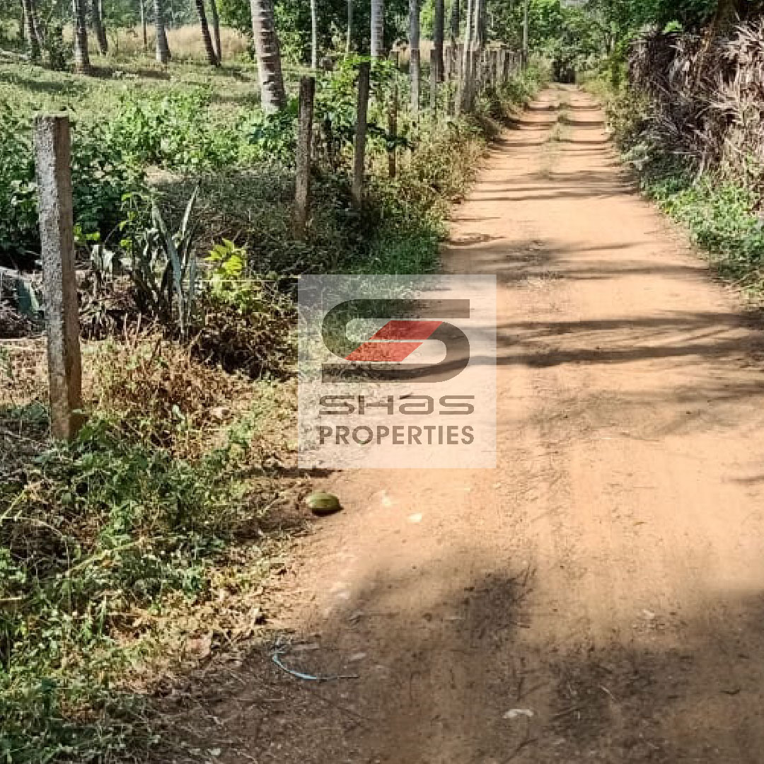 shasproperties's tweet photo. House plots in Akathethara, Palakkad for sale
For Enquiry Call/whatsapp: 81118 11710
Visit: https://t.co/llbPYDUNxC
#akathethara #palakkad #houseplotforsale #realestate #realtor #realestateagent #home #property #forsale #realtorlife #investment #househunting #shasproperties https://t.co/b2AoIEuWZz