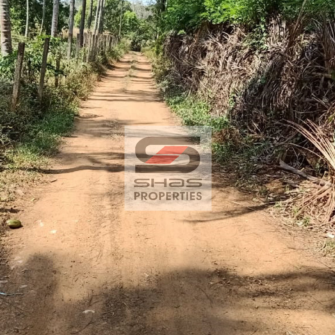 shasproperties's tweet photo. House plots in Akathethara, Palakkad for sale
For Enquiry Call/whatsapp: 81118 11710
Visit: https://t.co/llbPYDUNxC
#akathethara #palakkad #houseplotforsale #realestate #realtor #realestateagent #home #property #forsale #realtorlife #investment #househunting #shasproperties https://t.co/b2AoIEuWZz