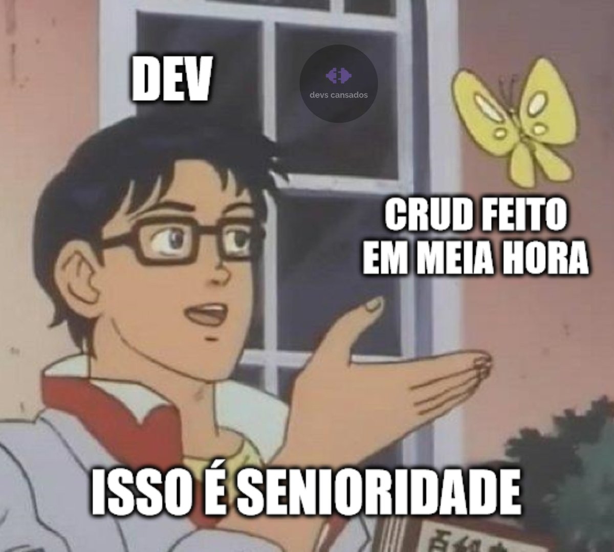 senior de 2 anos pira