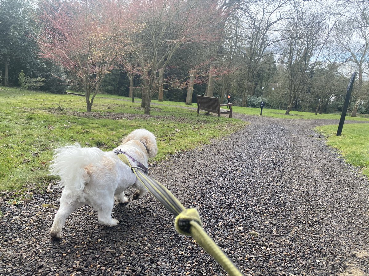 paulyandnukhas's tweet photo. Me, Boi & Ma’, had a magically amazing time at #WestLodgeHotel in #barnet 🇬🇧;Was like #breakbills by @leverus. Nux is now schloofin on my lap.
That horrific #DarkCloud feels lifted, if but for a while.
#GiveDogsOnNHS, #ESAsInUK, #ThatsMyBoy, #WoofWoof https://t.co/VKcMpqVVuP