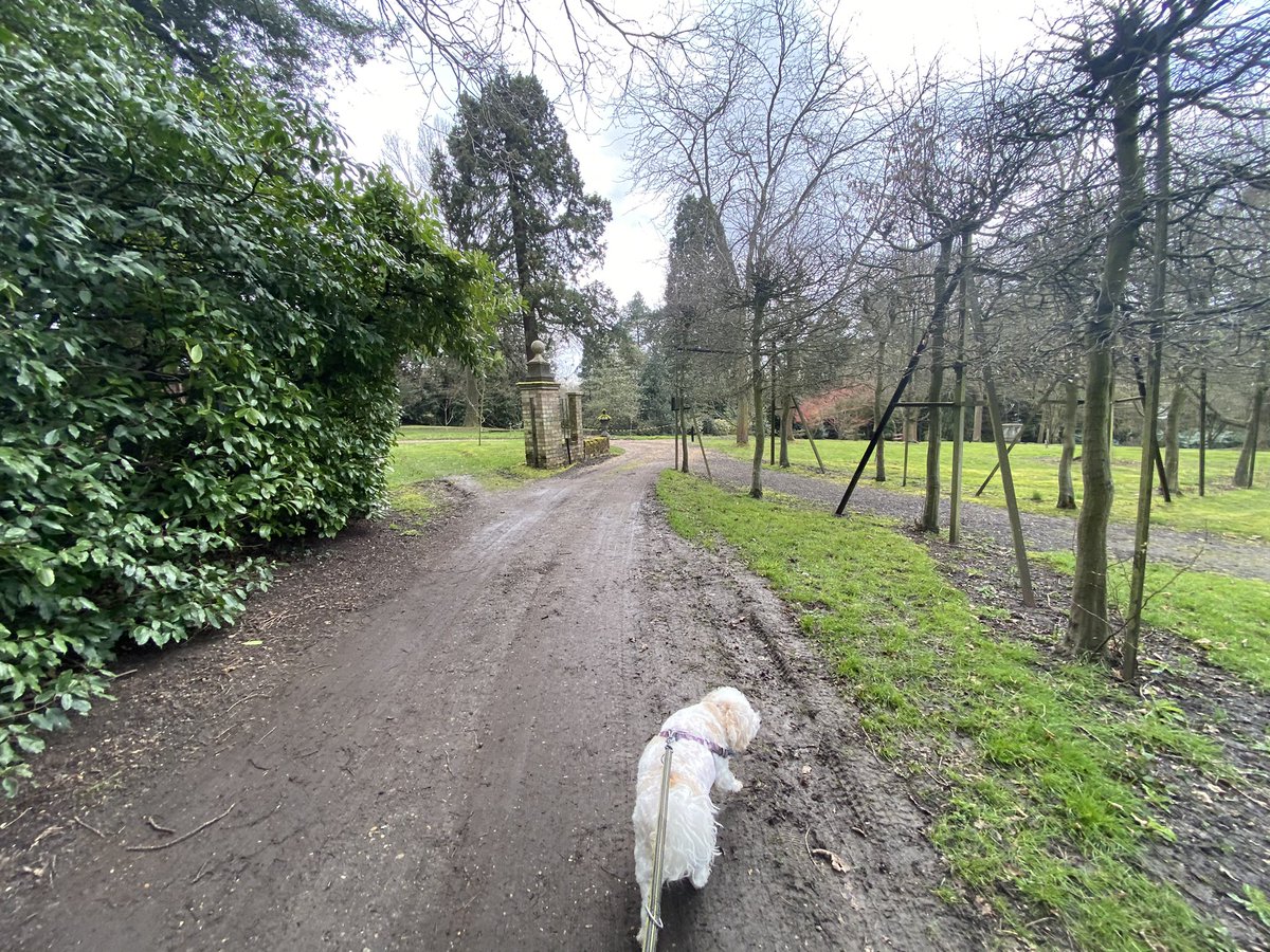 paulyandnukhas's tweet photo. Me, Boi & Ma’, had a magically amazing time at #WestLodgeHotel in #barnet 🇬🇧;Was like #breakbills by @leverus. Nux is now schloofin on my lap.
That horrific #DarkCloud feels lifted, if but for a while.
#GiveDogsOnNHS, #ESAsInUK, #ThatsMyBoy, #WoofWoof https://t.co/VKcMpqVVuP
