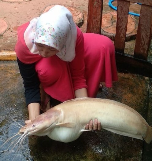 mba_bunda's tweet photo. #Bunda cari #loker partime #housekeeping di sekitar #bsd #alamsutra #alsut #serpong #bsdcity #tangerang yah .. 

buat setelah selesai kerja jam 7an malam aja.. #pasutri yg butuh untuk bebersih  #apartemen atau #kost nya silahkan #chat #dm #wa. Matur nuwun

(( #lele #MU)) https://t.co/QssyjQdyJP