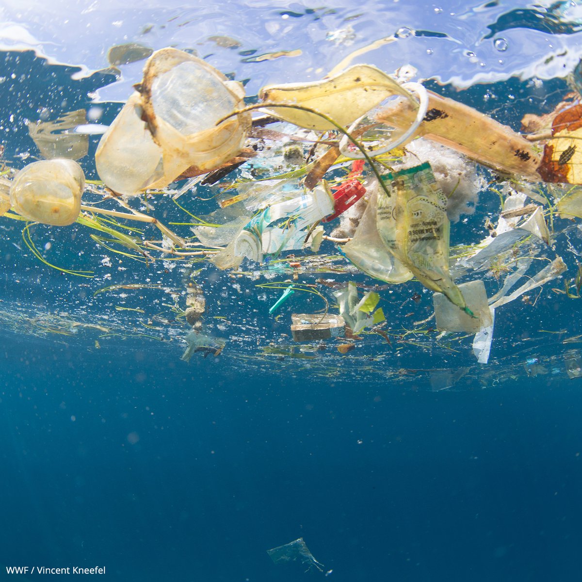 Plastic pollution has been leaking into nature at a shocking and increasing rate for decades. Last year, an estimated 11 million tons of plastic (one full garbage truck every minute)  entered the world's oceans. It's an alarming statistic, but there's time to change our future.