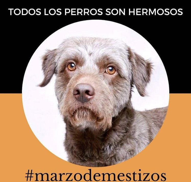 Hugo Torres Zumaya tweet media