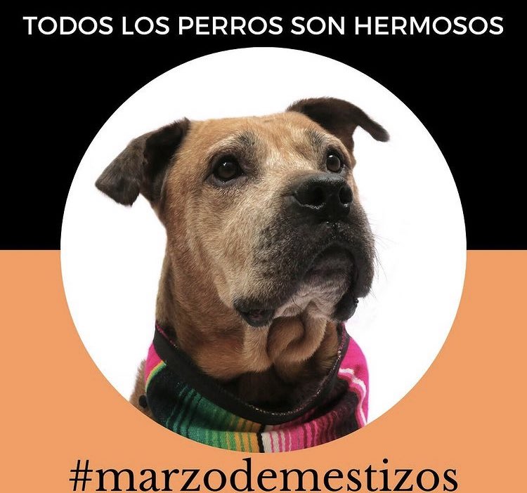 Hugo Torres Zumaya tweet media
