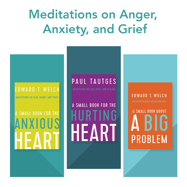 newgrowthpress's tweet photo. Save 40% on any devotional in the Small Book series or save 50% on the bundle of all three at https://t.co/VqTbqPtfug. Offer ends 3/30. @ccefcounseling @PaulTautges #smallbook #devotionals #anxiety #grief #anger #sale #counseling #biblicalcounseling #christiancounseling https://t.co/YFPuCmCH8k