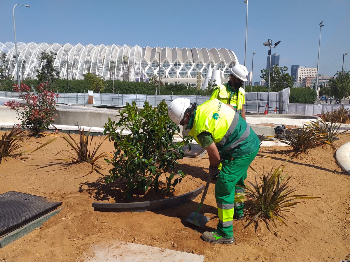 simetria_grupo's tweet photo. Centre Verd, ha iniciado las obras de remodelación de las zonas verdes del CC El Saler para Merlín Properties Socemi. #jardineria 🌱 https://t.co/snkr1khqSA