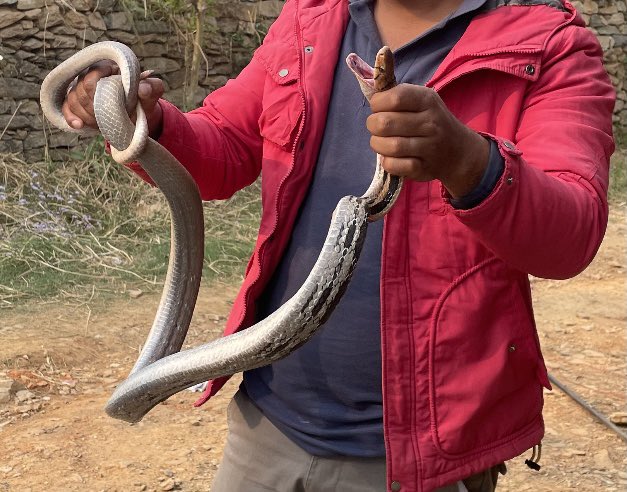 समातियो लौ😁😁