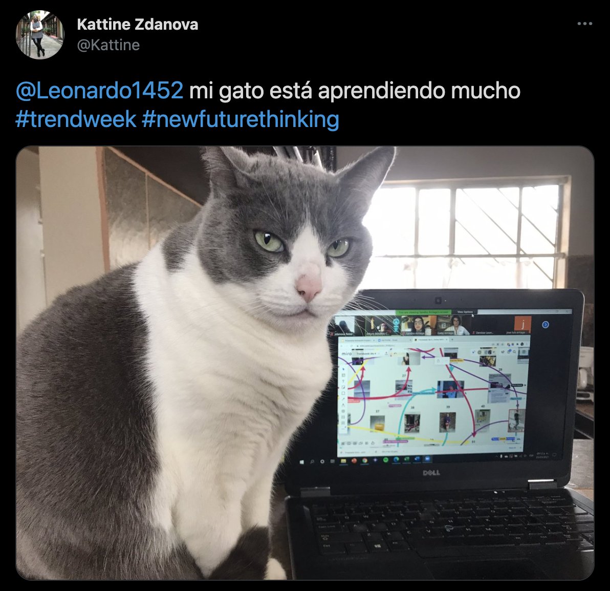 Leonardo1452's tweet photo. ¡Un día 4 de #TrendWeek muy interactivo y muy participativos todos!
¡Mañana cerramos! #NearFutureThinking https://t.co/kmVqZrcIXK