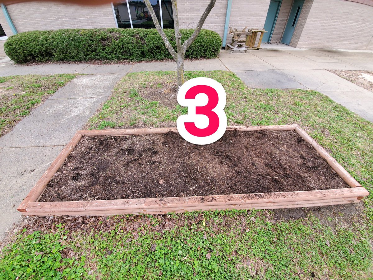 KyleHamstra's tweet photo. I'm tweeting this to preview our #ddegardens #ddestem learning experience with @andreasquiers6's third grade @DDEDolphins. Which garden has the best conditions for growing plants? How can we improve these conditions? #sci1L13 #sci3L22 #sci5L22 #wcpssgardens #ncedgardens #SwimFwd https://t.co/KZJ5umqZeN