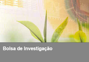 Encontra-se aberto concurso para a atribuição de 1 Bolsa de Investigação para Mestre, no âmbito do projeto “iHeritage ICT Mediterranean Platform for UNESCO cultural heritage". +info em: ualg.pt/sites/default/…