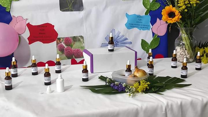 Normitapalaci's tweet photo. #EsNuestroElPorvenir
#25Marzo
Los pacientes del Hospital Alemán Nicaragüense inauguraron la nueva clínica floriterapia. Esta clínica   brindara  atención en el equilibrio emocional a los pacientes que acudan con alguna ansiedad, depresión. https://t.co/GRXexwn0zF