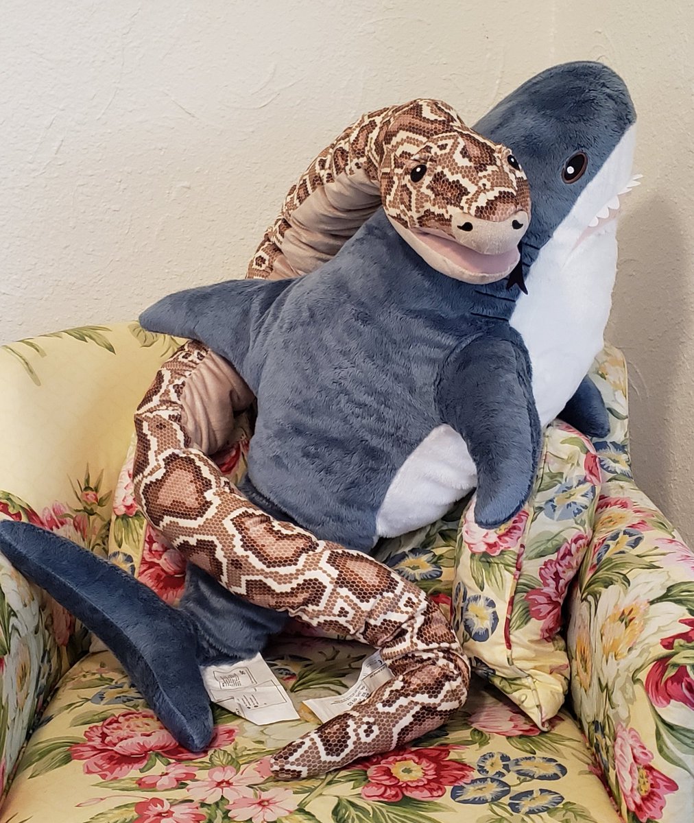 LilSproutCare's tweet photo. Free weighted BLAHJA &amp; FRIEND Raffle 🌱
Retweet &amp; Follow @LilSproutCare 
to enter 🌈
There will be two winners! 
First winner will pick , second will get the remaining plush. 
Ends; April 20th
Thanks as always 🥺🦈🐍🌱 https://t.co/J09cgkqSzG