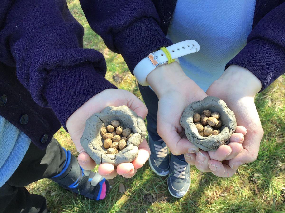RoundhillPri's tweet photo. Y3/4 have enjoyed learning lots of new skills during their Forest School sessions this week! https://t.co/mDFcNar7Qa