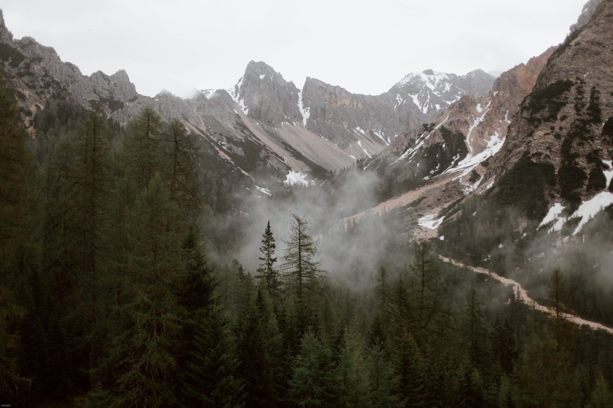 visual_standard's tweet photo. “And into the forest I go, to lose my mind and find my soul.”
-John Muir
#VS #Travel #FindYourself #Adventure #Wanderlust #Explore #TheVisualStandard #visualstandard #visualstandardtraveler #VSmag #VSmagazine #travelmagazine #mountainpass #mountain #landscape #mountains https://t.co/SBDzj8gHa4