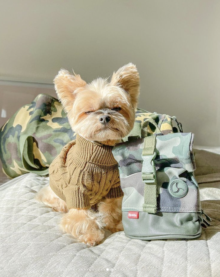 Petco's tweet photo. Going camping? Your best friend should be ready. https://t.co/67WA6jqKVA #reddypets https://t.co/kGbH7JfRDr