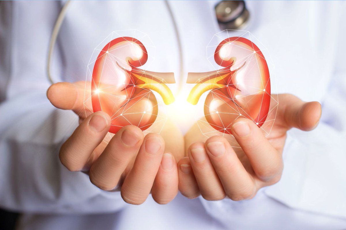 PrimaCare's tweet photo. KIDNEY HEALTH: March is National Kidney Health month and we felt it was a good time to dive deeper into this vital piece of our body and help answer some of the questions you may have. https://t.co/kbPE0yvXru https://t.co/bpnhXuFFdM