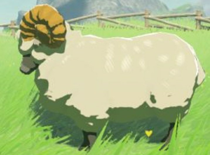 themouseyouknow's tweet photo. Love is stored in the Nintendo sheep https://t.co/eV4WHt4PH3