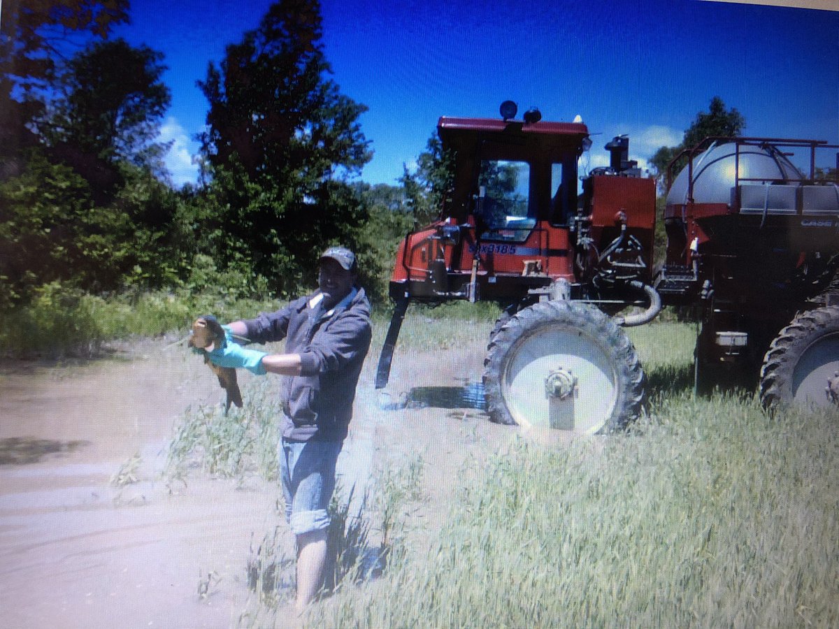 KevinKevdevries's tweet photo. @Bayer4CropsCA I can go fishing at the same time as applying spring herbicide, it was wet on one end of the field...a few years ago. https://t.co/Xwg3VfGJju