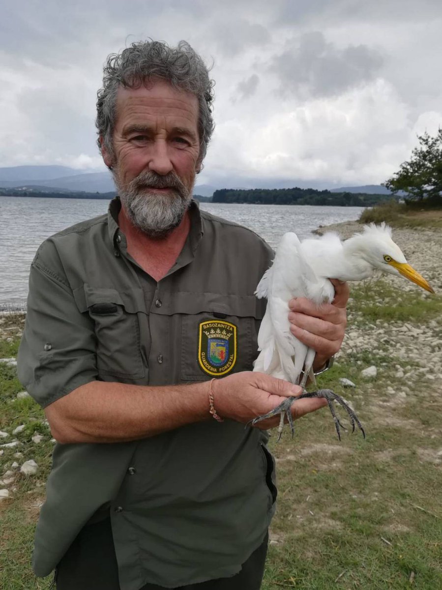 adielkartea's tweet photo. Desde ADI! elkartea, queremos solidarizarnos con Andoni Díez, el guarda forestal que alertó que sus denuncias a los furtivos, no prosperaban en Diputación y , por otra parte queremos denunciar las prácticas oscurantistas de @Araba en este caso.
https://t.co/S8KTVvIXTD https://t.co/KpFdF6q1ys