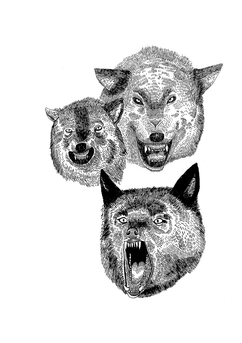 Wolves