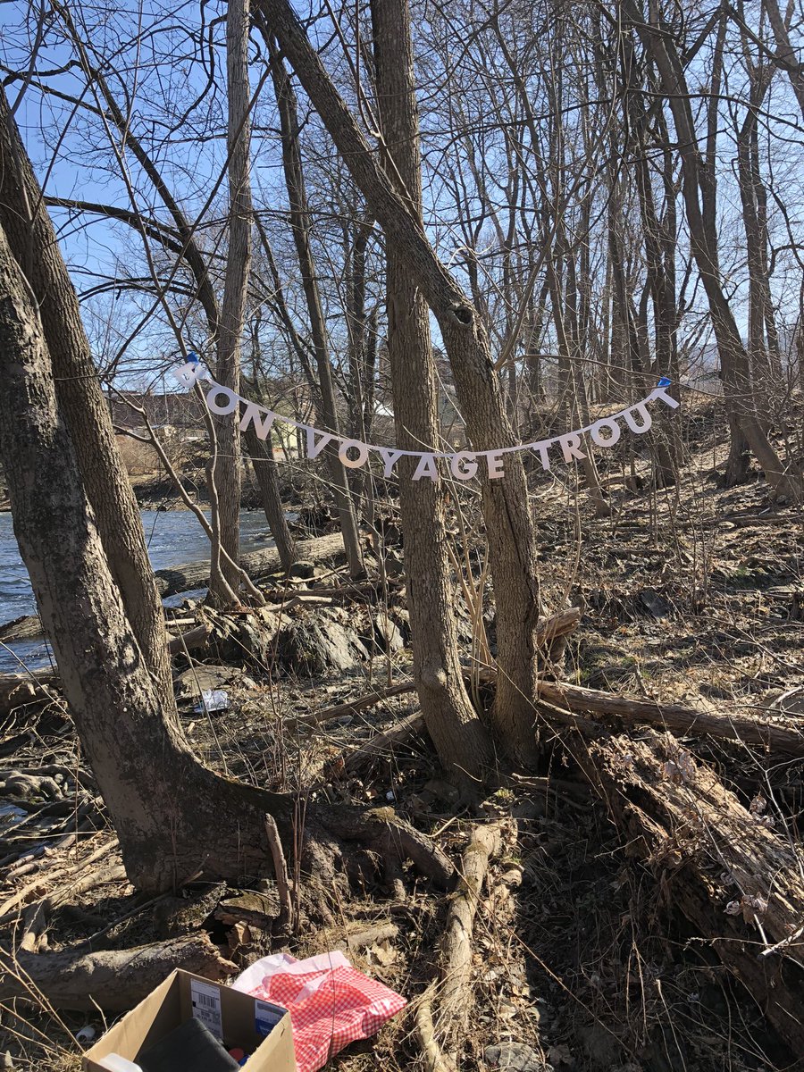 #SouthAveElem trout were released today. ⁦<a href="/MrBurkeLibrary/">Mr.Burke</a>⁩ picked up eggs and they grew in our tank. Now we release trout into the wild! Break a fin out there. 😉 🌎 🐟