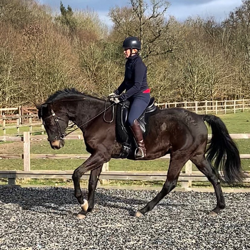 I have been thinking about our movement - the pair of us both returning to work after rehab.  Loving the work @a_whitehead1  and I am thinking hard!  Whilst I am ever mindful of the great words of <a href="/ToddHargrove/">Todd Hargrove</a> a great inspiration in my prehab and rehab! 
#movementthatinspires