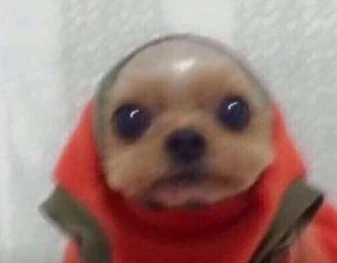 AROUNDLUXE's tweet image. Hostia ahora hay dos Chanbit.