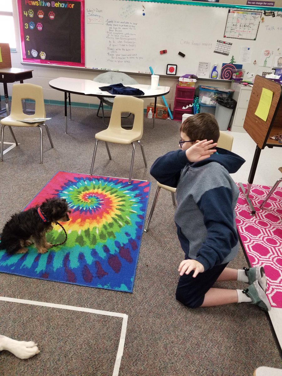 Laura Bull tweet media