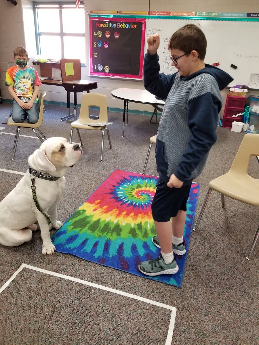 Laura Bull tweet media