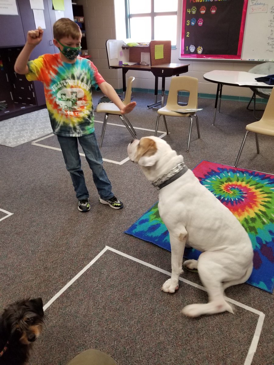 Laura Bull tweet media