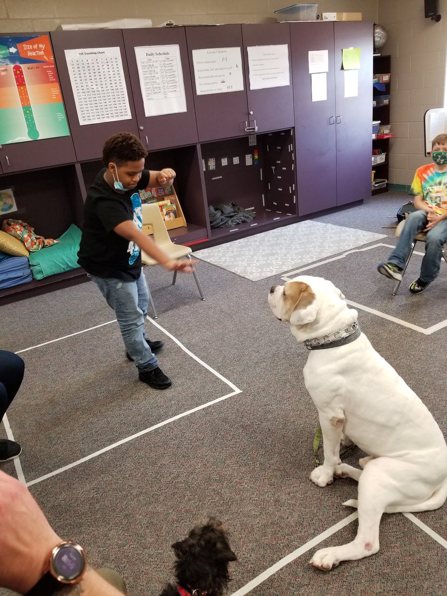 Laura Bull tweet media