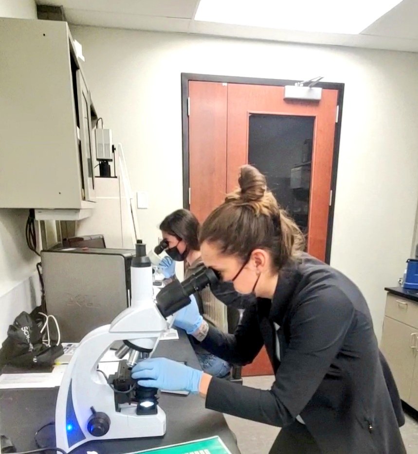 cattlewithcarla's tweet photo. Montana State University research in progress in @theMcCoskiLab Dr. McCoski and her graduate student, Eden Manuel, working with bovine oocytes in the lab. https://t.co/n3bm5xCic5