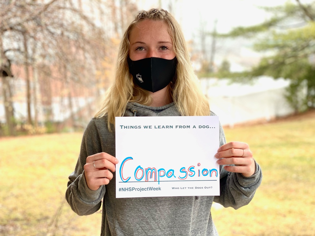 NHSHuskies's tweet photo. Project week groups are reflecting on their experiences and focusing on key takeaways from their time together this week. Compassion, love, rest, patience, and safety are all key life lessons we can learn from each other and animals! #wholetthedogsout #nhsprojectweek https://t.co/Vqb7TswsuN