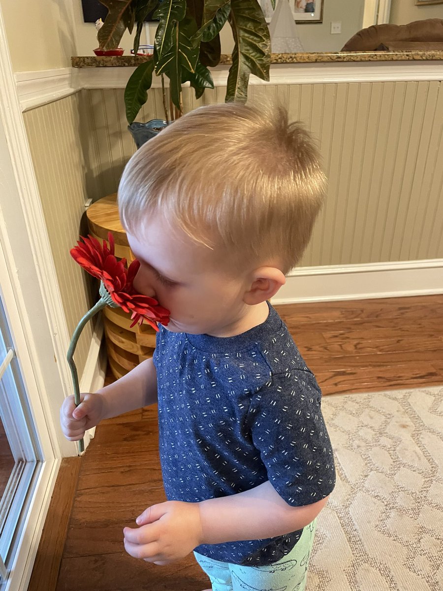 J_G_Cunningham's tweet photo. Julian loves to read Ferdinand the Bull, so now every time he picks up a flowers he says “MOO!” and smells it. It’s pretty great. https://t.co/EqF3yF7uI2