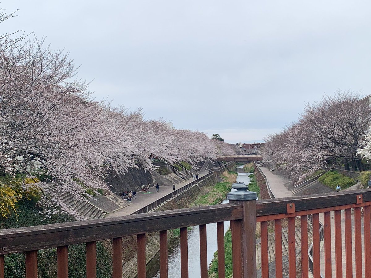 夕凪の街桜の国 のtwitter検索結果 Yahoo リアルタイム検索