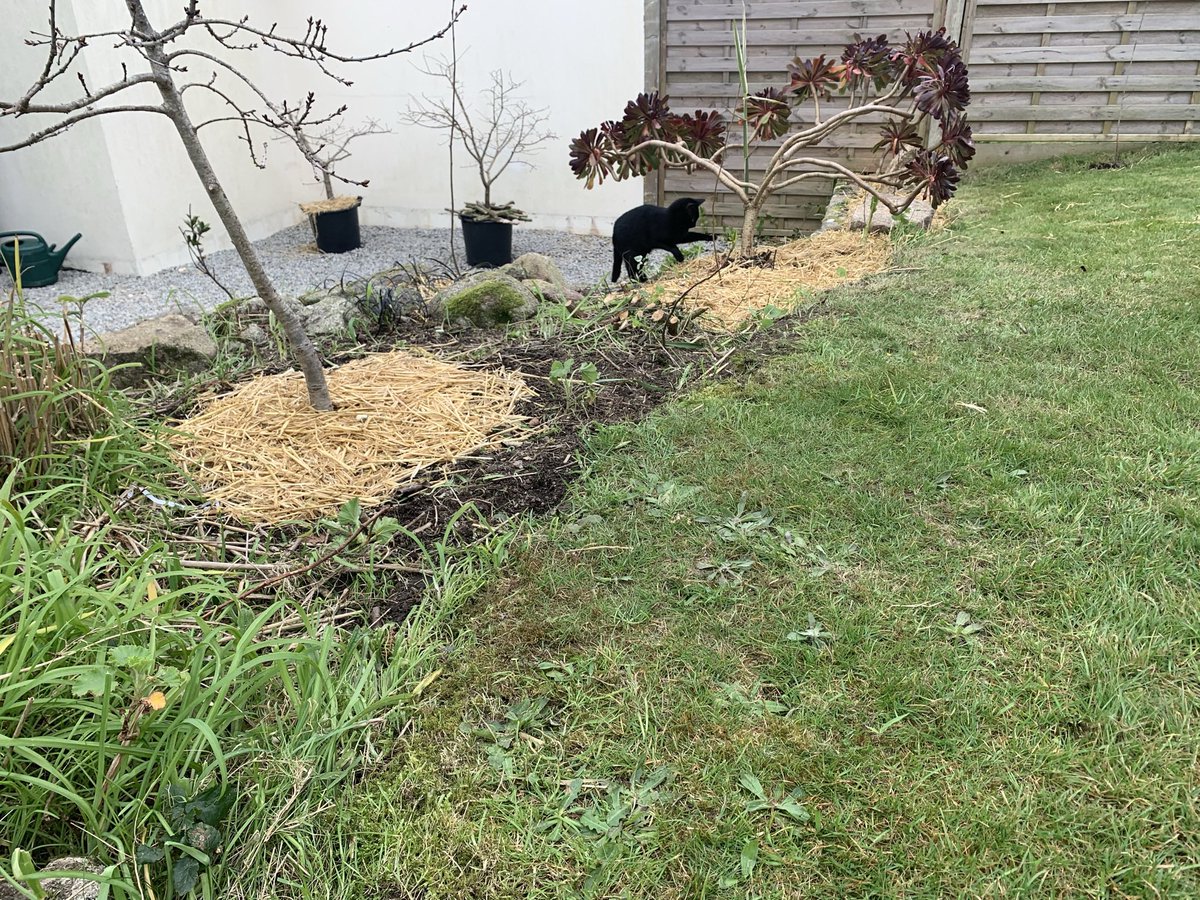 Lisa_Walton's tweet image. Eagerly watching and waiting for our tees to grow #nationaltreeweek2021