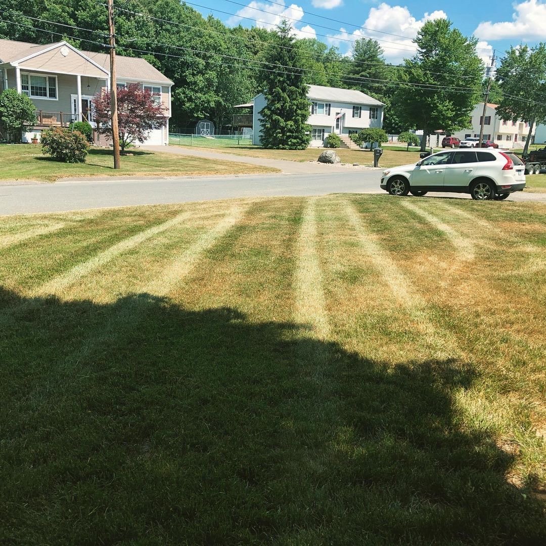 CubCadet_USA's tweet photo. From a demo to a purchase, JTS Lawn and Landscaping LLC “loved the comfortability and the cut quality” so much they had to add it to their fleet. Interested in a demo? Contact your local dealer today. https://t.co/0JENFTAb0E