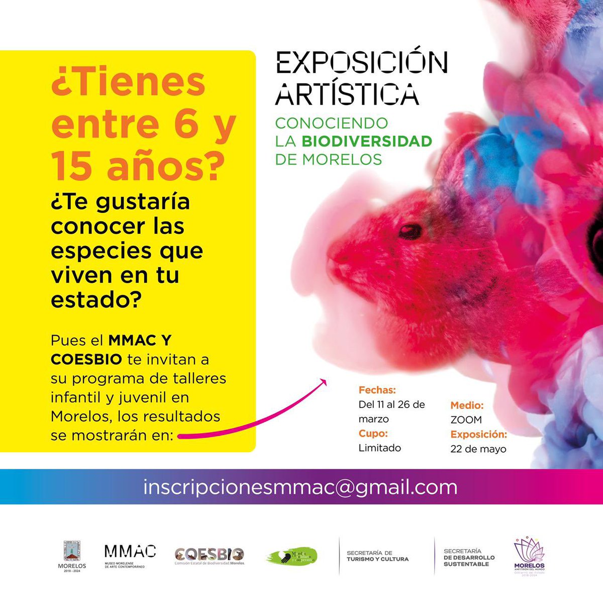 NODESS: Morelos Solidario y Cooperativo tweet media